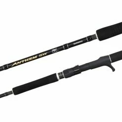 Deals 🎁 Spinning Rods Shimano Anthem SW Rods ⌛