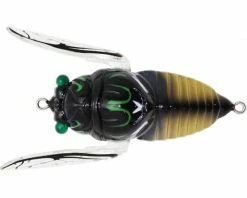 Best deal 😍 Lures Tiemco Jumbo Cicada 💯