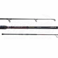 Best reviews of 😍 Penn Prevail II Surf Rods 🌟